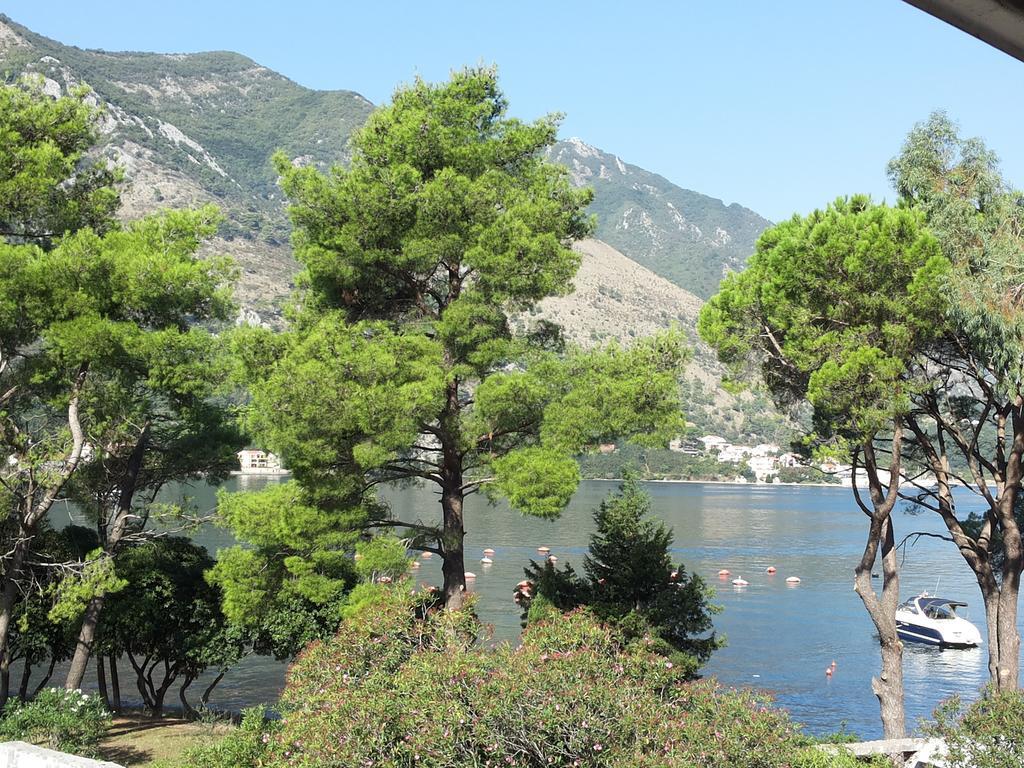 Apartments Vojvoda Kotor Habitación foto
